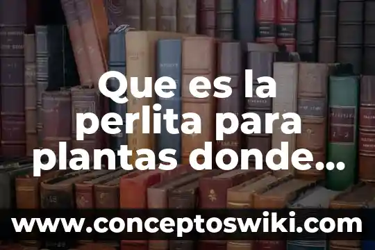 Que es el principio de pascal y donde se aplica 4 Que es la perlita para plantas donde se compra