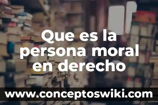 Que es un precedente en derecho 6 Que es la persona moral en derecho