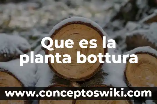 Que es una planta compacta de pretratamiento 4 Que es la planta bottura