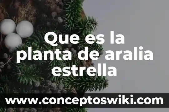 Que es la determinacion del tamaño optimo de una planta 4 Que es la planta de aralia estrella