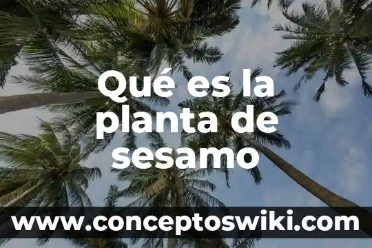 Que es la tierra de planta 3 Qué es la planta de sesamo