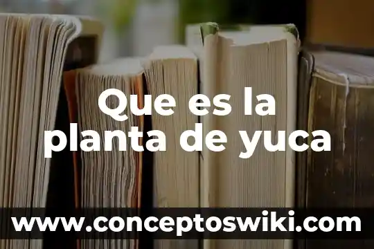 Gerente de planta que es 8 Que es la planta de yuca