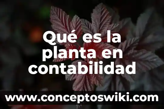 Ubicación de la planta que es 8 Qué es la planta en contabilidad