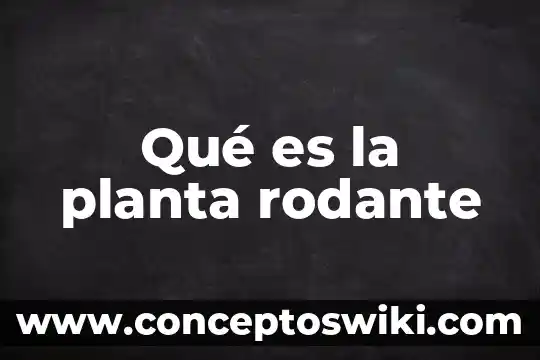 Que es la planta caoba 4 Qué es la planta rodante