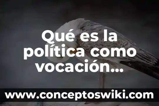 Max weber ciencias sociales que es 5 Qué es la política como vocación según Max Weber