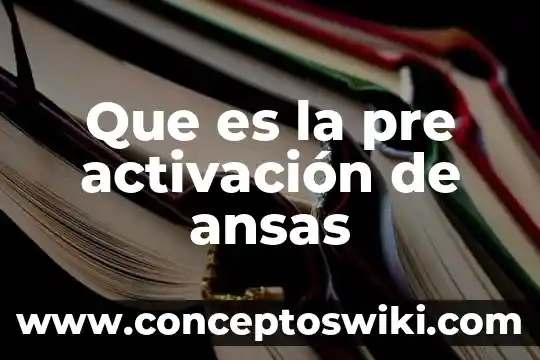 Que es pre análisis de un proyecto 4 Que es la pre activación de ansas