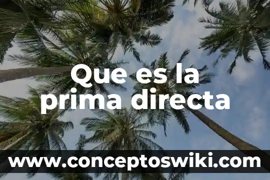 Que es imputacion directa 3 Que es la prima directa