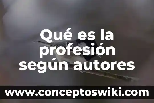 Qué es un préstamo según chiavenato 4 Qué es la profesión según autores