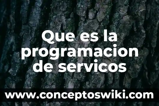 Que es memoria estatica en programacion 3 Que es la programacion de servicos