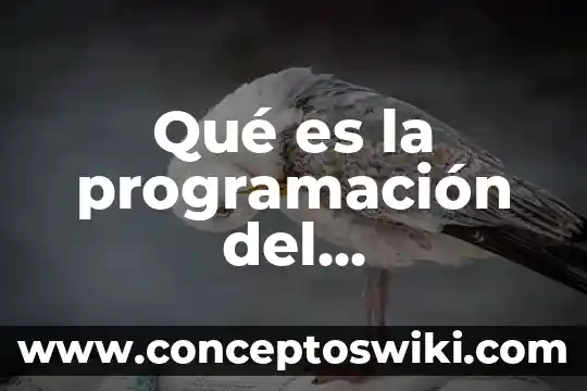 Que es padding right en programacion 4 Qué es la programación del mantenimiento