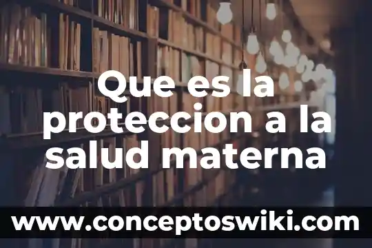 Que es la funcion materna para winnicott 7 Que es la proteccion a la salud materna