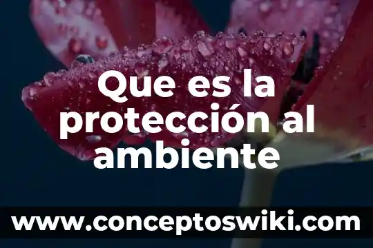 Que es un ambiente de aprendizaje inicial observacion 7 Que es la protección al ambiente