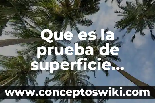 Que es el triangulo para primaria 5 Que es la prueba de superficie primaria