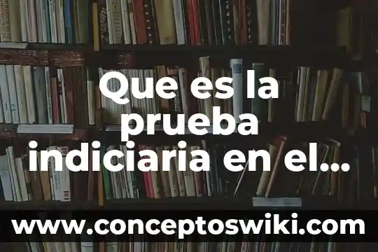 Que es la pastilla que trae la prueba de embarazo 6 Que es la prueba indiciaria en el proceso penal