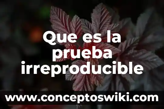 Significado de que es una prueba de ensayo 8 Que es la prueba irreproducible
