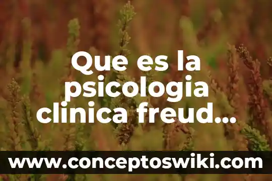 Qué es la identificación proyectiva mecanismo de defensa ejemplo 6 Que es la psicologia clinica freud mecanismo de defensa