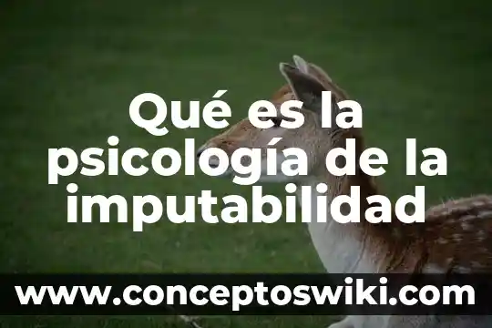Qué es el arrepentimiento en psicología 5 Qué es la psicología de la imputabilidad