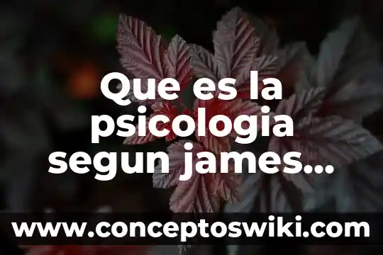 ACP que es en psicología 8 Que es la psicologia segun james 1998