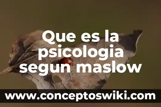 Que es lo que habla maslow sobre el amor 3 Que es la psicologia segun maslow