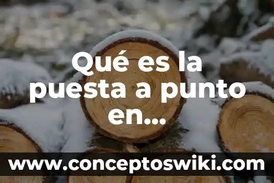 Que es un punto de cruz 4 Qué es la puesta a punto en mantenimiento