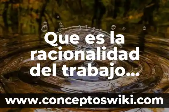 Muestreo del trabajo que es 6 Que es la racionalidad del trabajo social
