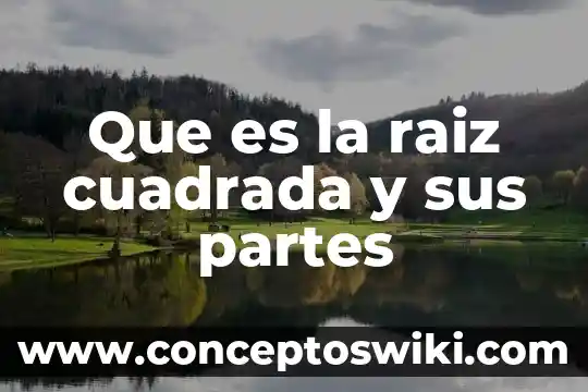 Qué es raíz de planta 4 Que es la raiz cuadrada y sus partes
