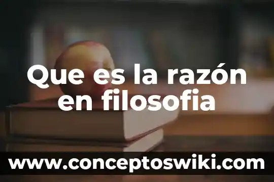 Que es nombre o razon social de una empresa 4 Que es la razón en filosofia