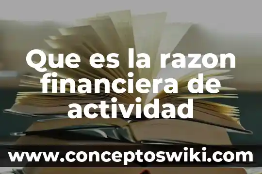 Que es nombre o razon social de una empresa 6 Que es la razon financiera de actividad