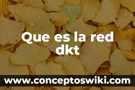 Sistemas operativos de red que es 3 Que es la red dkt