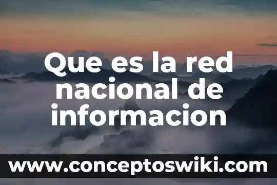 Que es el nombre de la sucursal o unidad csd 7 Que es la red nacional de informacion