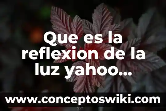 Qué es la etimología Yahoo 7 Que es la reflexion de la luz yahoo respuestas