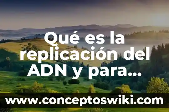 Que es el adn en las celulas 3 Qué es la replicación del ADN y para qué sirve