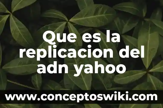 Que es el adn en las celulas 4 Que es la replicacion del adn yahoo