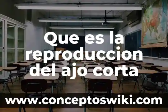 Que es la vigorexia definicion corta 8 Que es la reproduccion del ajo corta