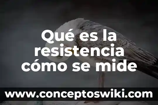 Que es una carga electrica y en que se mide 4 Qué es la resistencia cómo se mide