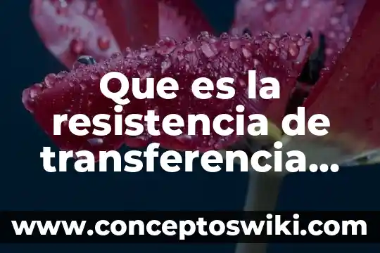 Que es la carga y descarga de buques 3 Que es la resistencia de transferencia de carga