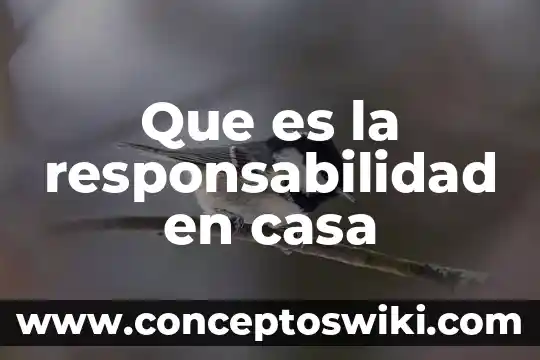 Que es lo que necesitas para cambiarte de casa 3 Que es la responsabilidad en casa