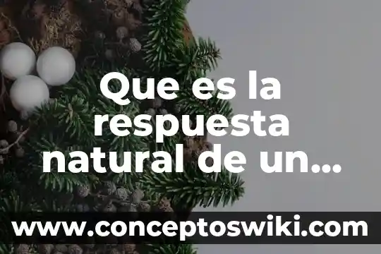 Que es frontera natural 4 Que es la respuesta natural de un circuito rl