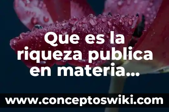 Que es la distribucion de la riqueza social 3 Que es la riqueza publica en materia juridica