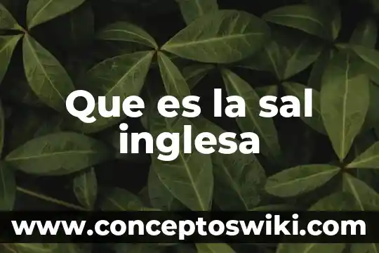 Que es el gradiente de sal 4 Que es la sal inglesa