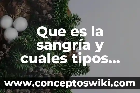 Que es litigio y cuales son sus partes 3 Que es la sangría y cuales tipos existen