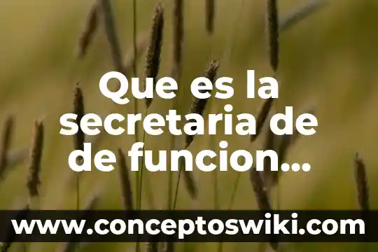 Secretaría de Salud que es Salud 3 Que es la secretaria de de funcion publica