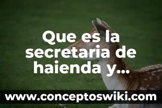 Que es el saldo banamex tarjeta de credito 3 Que es la secretaria de haienda y credito publico