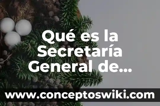 Que es un usuario general de la contabilidad 3 Qué es la Secretaría General de Acuerdos de la SCJN