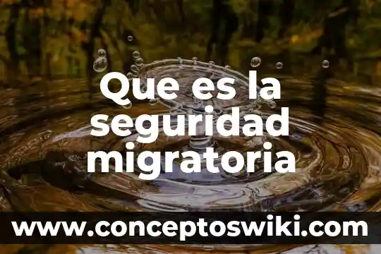 Que es seguridad internety 8 Que es la seguridad migratoria