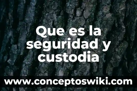 Que es seguridad internety 7 Que es la seguridad y custodia
