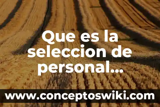 Que es un modelo didactico tradicional 5 Que es la seleccion de personal tradicional