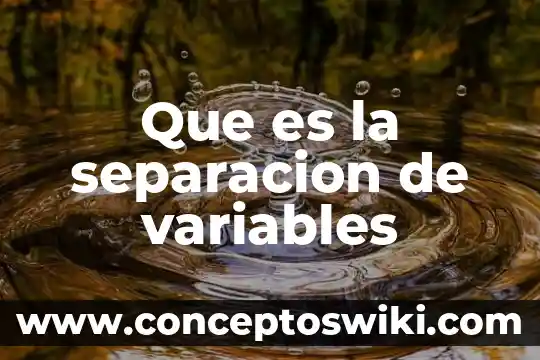 Que es el nombre y cuantas variables exiten gramaticales 3 Que es la separacion de variables