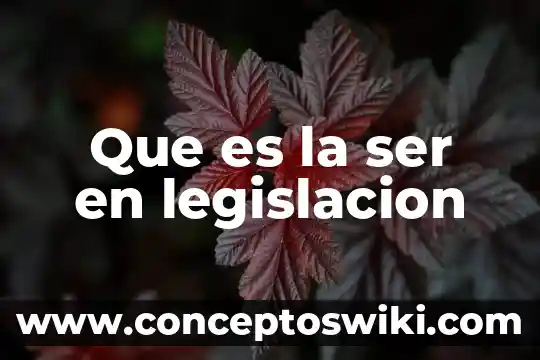 Qué es legislación comercial en mercadotecnia 7 Que es la ser en legislacion