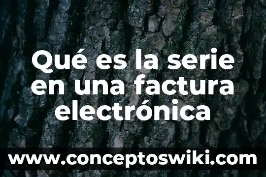 Qué es firma electrónica avanzada fiel 8 Qué es la serie en una factura electrónica